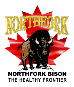  Northfork Bison Logo