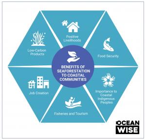 Seaforestation provides significant benefits to coastal communities including low-carbon products, positive livelihoods, food security, job creation, fisheries and tourism and importance to coastal indigenous people