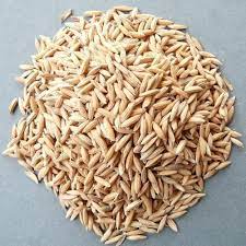 Rice Seed market
