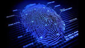 Automated Fingerprint Identification Systems (AFIS) Market