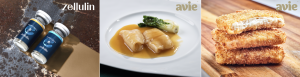 Avant Announces more than US.8 Million Series A led by S2G Ventures to commercialize cultivated fish & marine protein