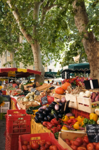 Food Marketplace Food Farming