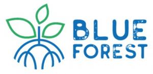 Blue Forest mangrove reforestation NGO logo