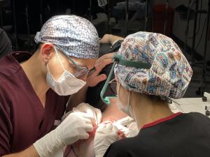 Follicular extraction process during FUE surgery