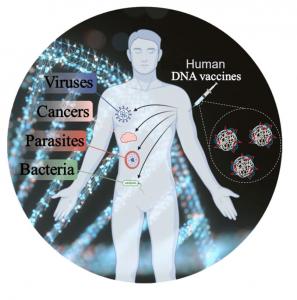 DNA Vaccines Market