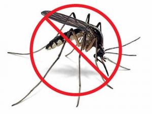 mosquito control market
