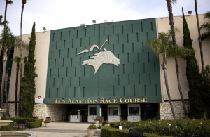 Animal Wellness Action Statement on California Issuing First Penalties Under New Federal Horse Racing Law