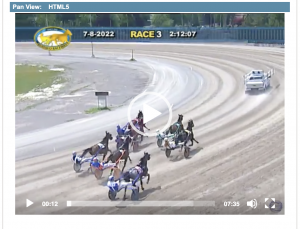 New Yorks Buffalo Raceway Sees Catastrophic Racehorse Death With Horses Leg Snapped in Half During Harness Race