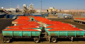 Ingomar's Tomato Process