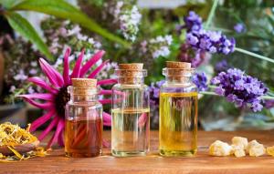 Organic Personal Care and Cosmetic Products Market to Attain Valuation of ,615.6 Mn by 2032 ; AMR