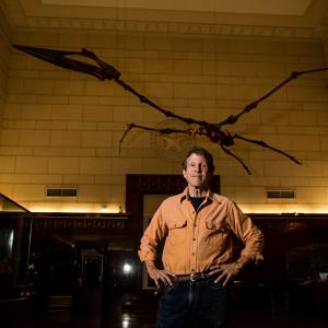 An image of Neil Bockoven standing under the skeleton of a pterodactyl.  He is an award-winning geologist, journalist and author of three books about our early ancestors.    