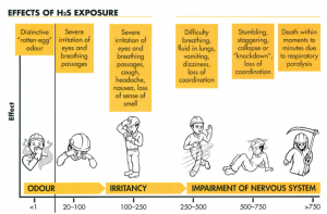 Hydrogen Sulfide odor can be detected as low as 8 parts per billion. Chronic exposure can lead to a wide variety of health problems.