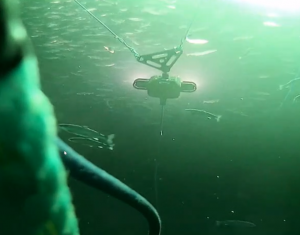 Aquabyte's smart underwater camera connects to a machine learning platform give fish farms unprecedented insight into the health, growth, and sustainability of their fish.