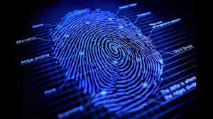 Automated Fingerprint Identification Systems Market
