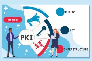 Public Key Infrastructure Industry