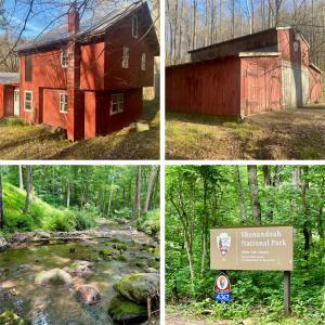 6.7 +/- Acres w/3 BR/2 BA home/lodge, large barn and wooded acreage in Madison Count
