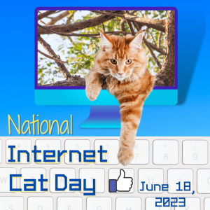 Dallas Agency Names National Day to Recognize Cats Role in Cyberspace Media and Popular Culture