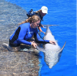 the-dolphin-company-super-company-for-women-3