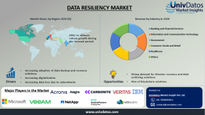Data Resiliency Market