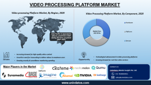 Video Processing Platform Market