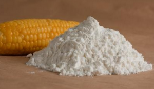 Cationic Starch Market Future Prospects