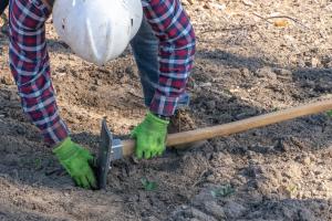 2021 Moonlight Fire Restoration CA