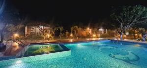 Pool Party in Jim Corbett 