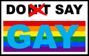 Do Say Gay