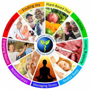 Rochester Lifestyle Medicine Institute Wellness Wheel