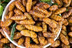 Edible Insects Market Growth Status, Revenue Expectation to 2031