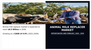 Animal Milk Replacer Market Size and Share