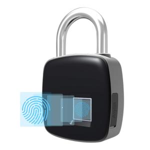 Fingerprint Lock Market Business Development
