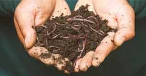 Vermicompost Market