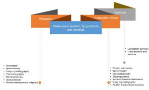 Global Proteomics Market Segmentation