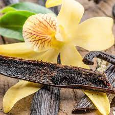 Vanilla Bean Market Growth Opportunities