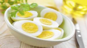 Egg Protein Market Future Prospects