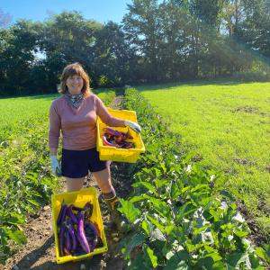 Field Worker with Comfort Food Community