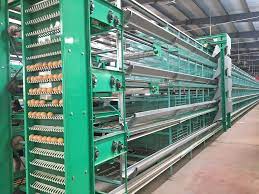 Layer Breeding Equipments Market Growth Sales