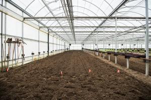Greenhouse Soil Market