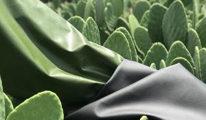 Vegan Cactus Leather Market Size and Share