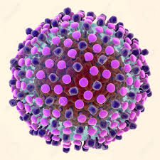 Hepatitis C Virus Envelope Protein E2 Market