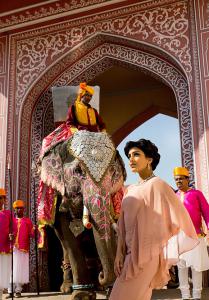 Anthony Horth Argyle Pink Diamonds Jaipur's Pink Palace