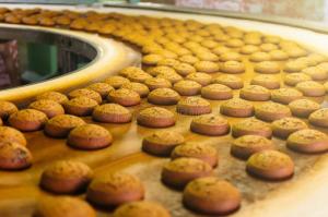 Bakery Confectionary Machinery Market Geographic Segmentation