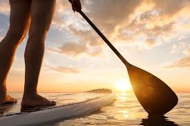 Stand Up Paddle Board Market Future Prospects