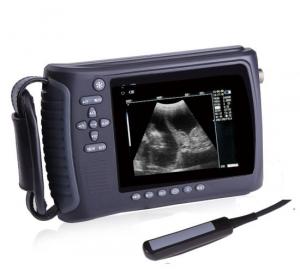 Veterinary Ultrasound Systems Market Leading Players