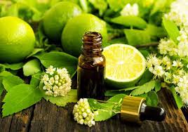 Lime Oil Market Industry Top Manufactures