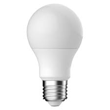 LED Light Bulbs Market Industry Growth