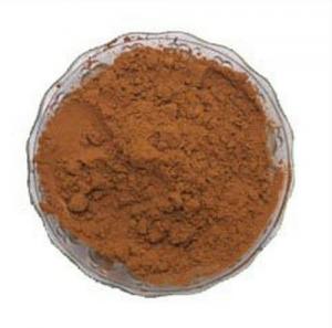 Chicory Product Market