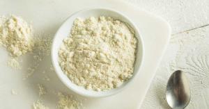 Whey Protein Ingredients Market