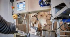 Robotics Milking Systems Market Future Demand and Forecast 2031